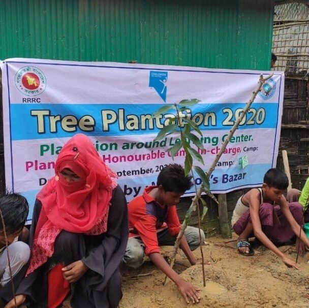 Children and teachers planting trees on plantation day