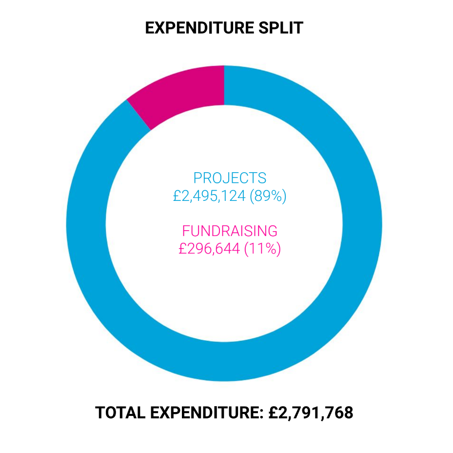 Expenditure breakdown chart - projects 89% fundraising 11%