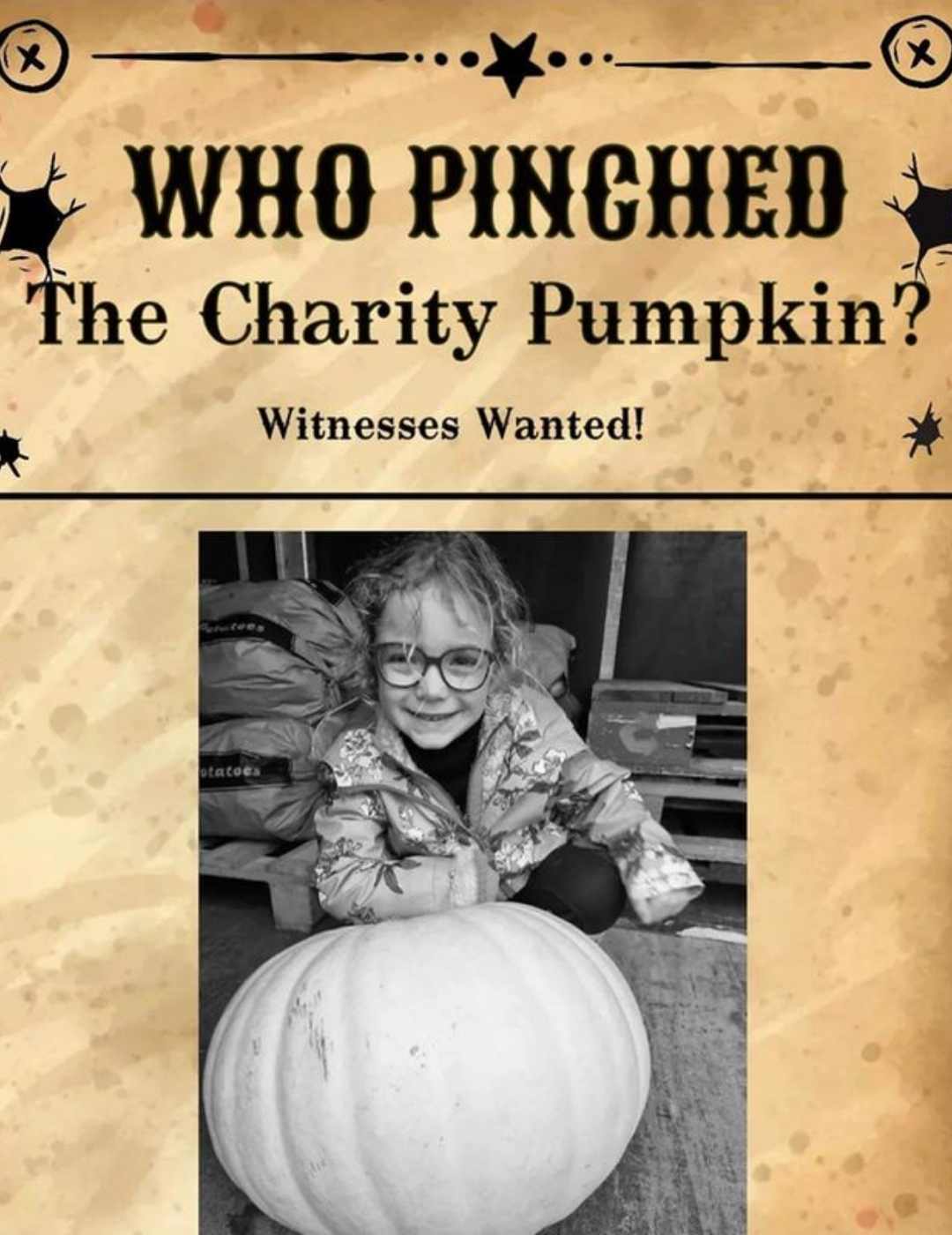 Pumpkin wanted poster